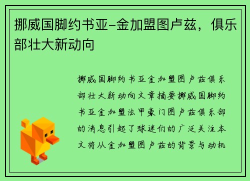 挪威国脚约书亚-金加盟图卢兹，俱乐部壮大新动向